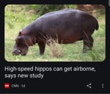 High speed hippos