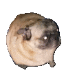 1704555632389032