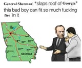 Georgia Fire