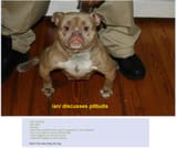 1728611574782287
