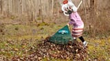 awoo rake leaves