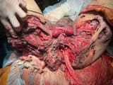 interestingcomplexion (223)