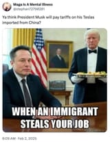 trump-tariffs-memes-11-20250203-600x779