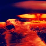 sheep nuke