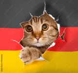 DAS MIAU