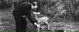 Uncle-A-feeding-deer