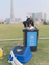 trash watching