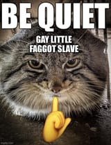 GcPfVyAasAAdREg