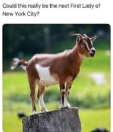 OTxwyWC9Ia2x.jpeg
