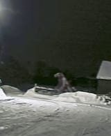 wolfman cryptid bigfoot