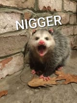 NIGGER
