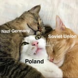 1543181272655