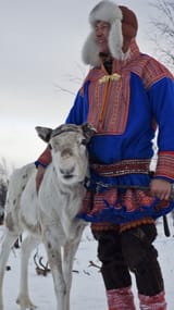reindeer5