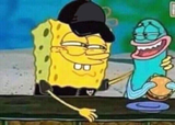 sponge