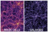 A-comparison-showing-the-human-brain-and-the-universe.-Depositphotos.-4098160435