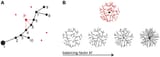 Generating-neuronal-branching-structures-using-optimized-graphs-A-The-growth-described