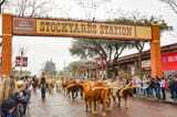 Stockyards