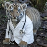 drtiggy