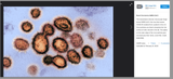 Screenshot 2025-06-27 at 6.19.55 PM