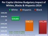 niggers - lifetime per capita budget impact by race