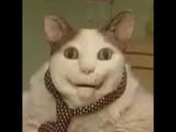 1748719806409825