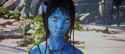 1731731314477_thumb.jpg
