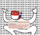 muh wolyn 3