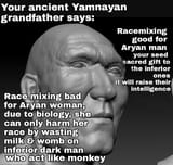 1627796523327