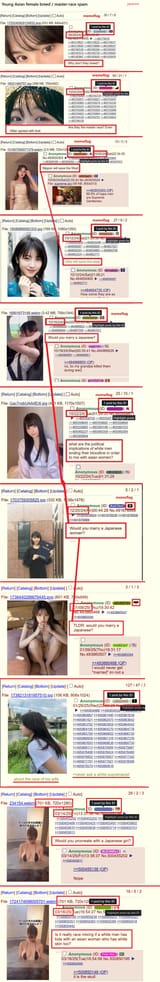 young_asian_female_spamm would you marry a japanese