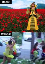 1666934572199431