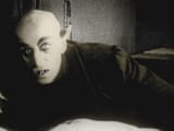 nosferatu