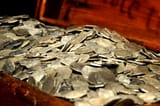 Whydah-gold-1