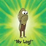 my leg