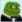 frong_