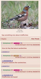 Screenshot_20220308-211451