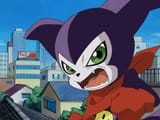 impmon14