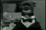 1254767140594