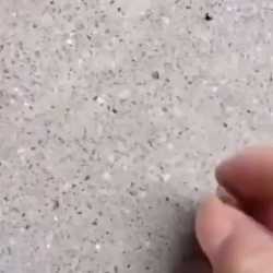 1733852221396756_thumb.jpg