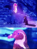 petah-whats-with-the-pengwing-v0-vvdnprpuriqe1