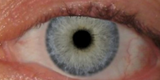 me_aryan_eye
