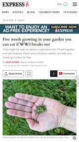 eat grass
