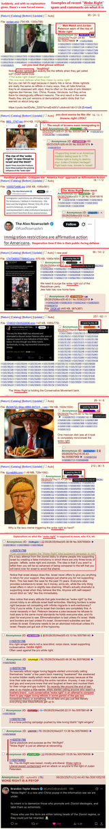 woke right spam