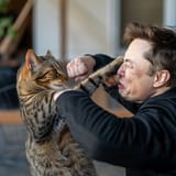 elon picks a fight