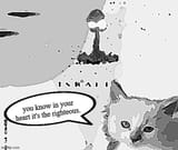 righteouscat