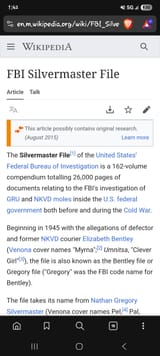 Screenshot_20250628_014207_Brave