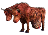 Brahmin_FO3