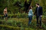Jacob_Bella_Edward_1525534i.jpg