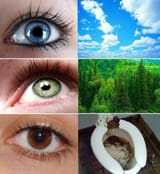 eyes bg shit b