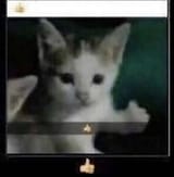 1702389429267669
