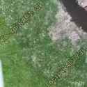 2025-06-22__kartuzy_thumb.jpg